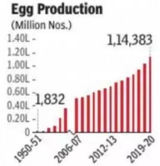 egg production in India