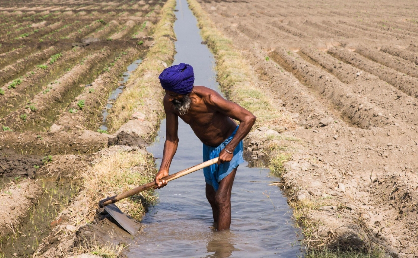 Irrigation in India