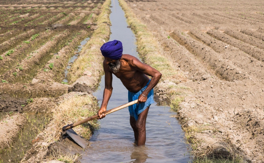 Irrigation in India