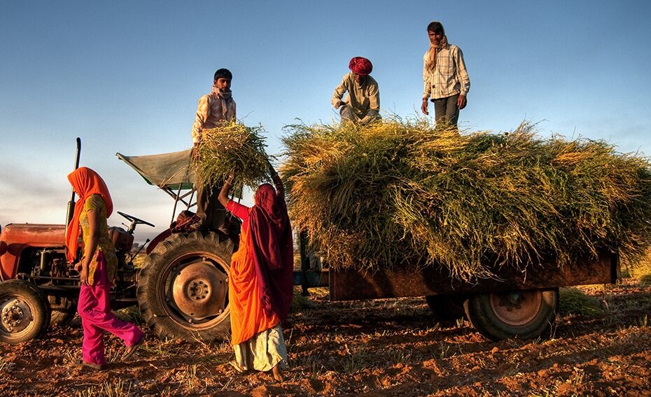 The Role of Tractor Financing in India